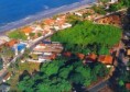 /album/photogallery/a1172876918-cajueiro-maior-do-mundo-jpg/
